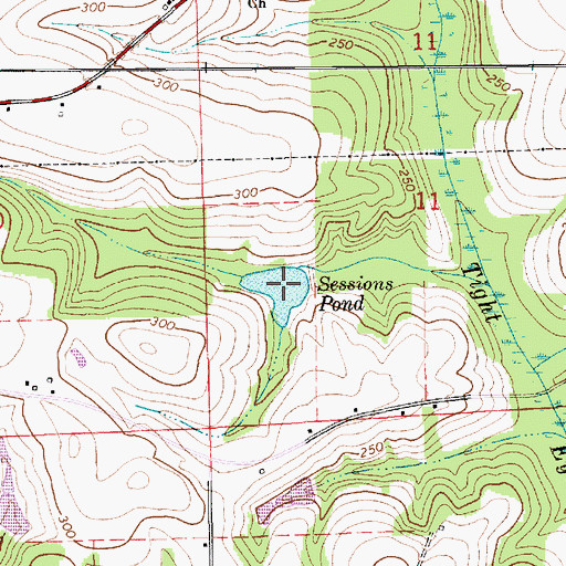 Topographic Map of Sessions Pond, AL