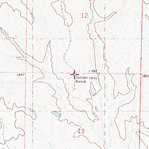 Topographic Map of Delaine Gray Ranch, SD