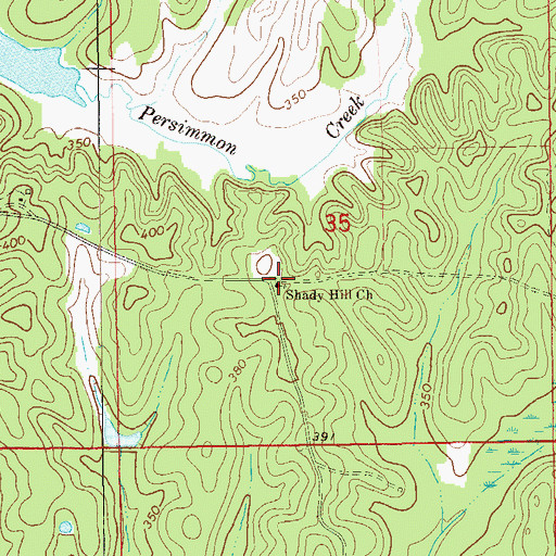 Topographic Map of Shady Hill Church, AL