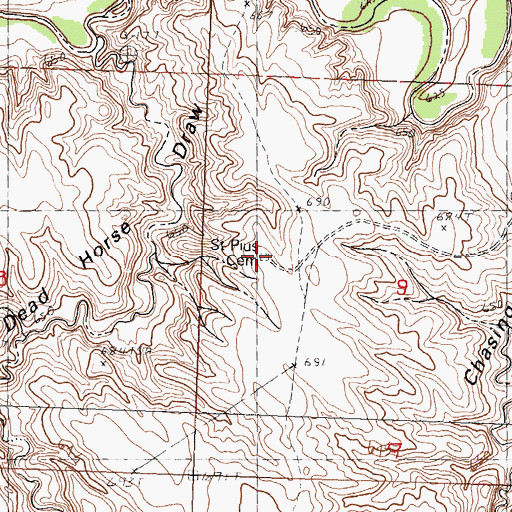 Topographic Map of Saint Pius Cemetery, SD