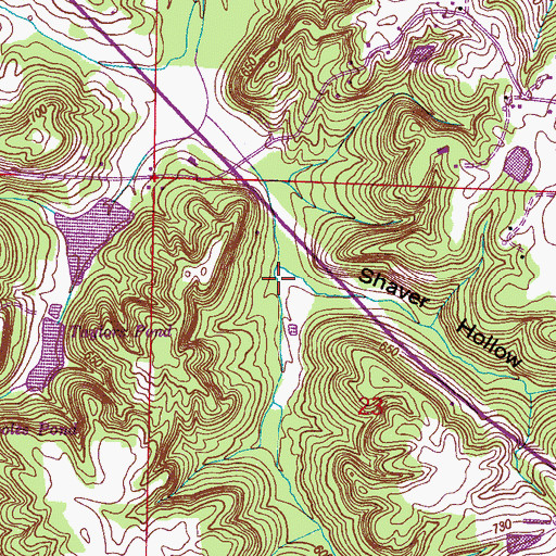 Topographic Map of Shaver Hollow, AL