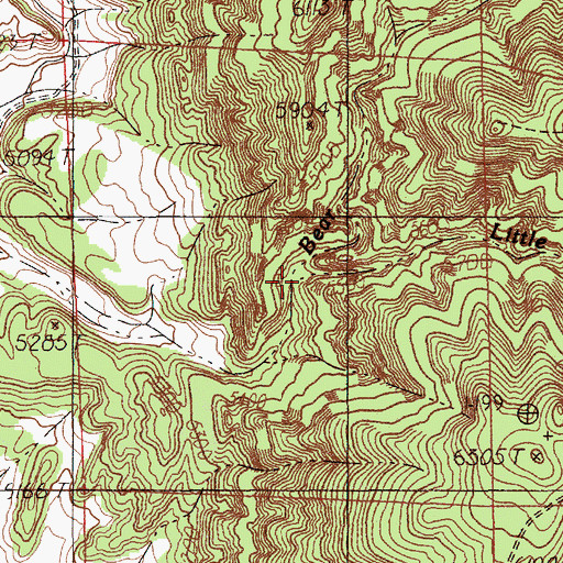 Topographic Map of Little Bear Run, WY