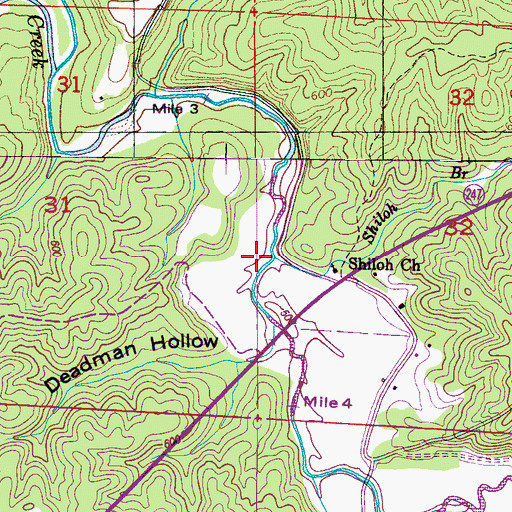 Topographic Map of Shiloh Branch, AL