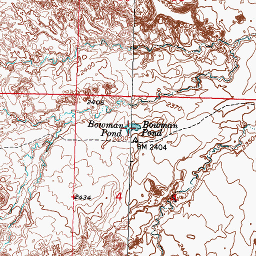 Topographic Map of Bowman Pond, SD