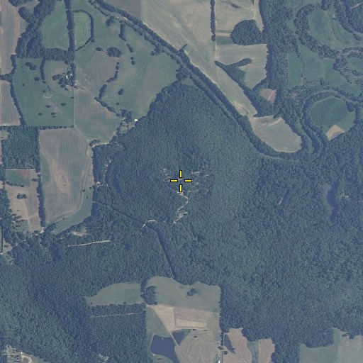 Aerial/Satellite Image of Shin Point, AL