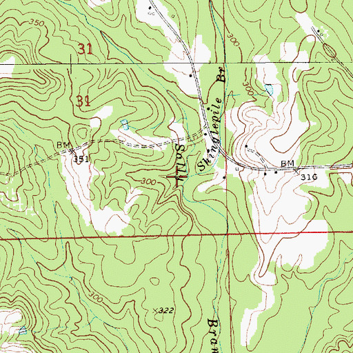 Topographic Map of Shinglepile Branch, AL