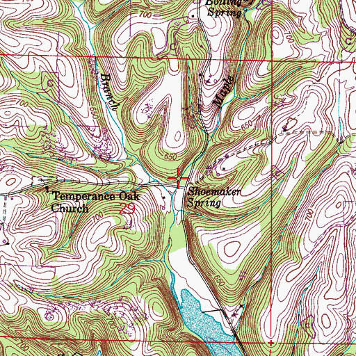 Topographic Map of Shoemaker Spring, AL