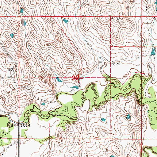 Topographic Map of Township of Turgeon, SD