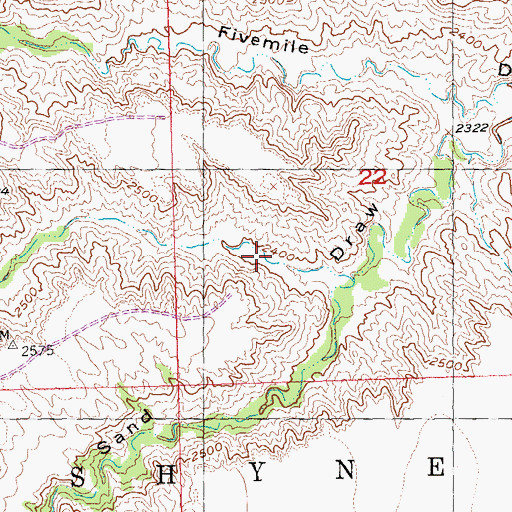Topographic Map of Township of Shyne, SD