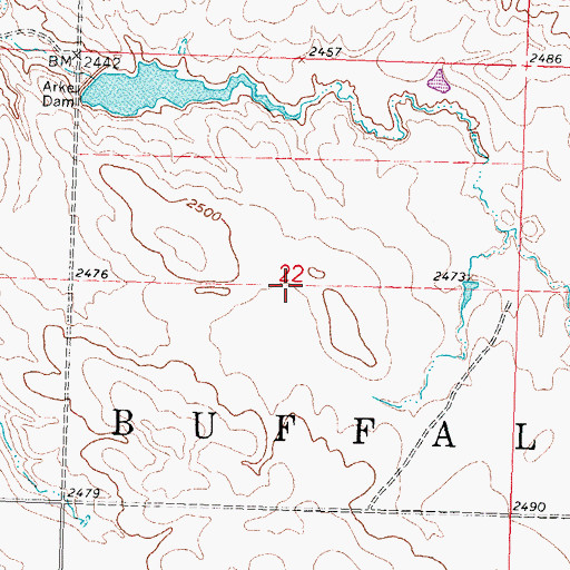 Topographic Map of Township of Big Buffalo, SD