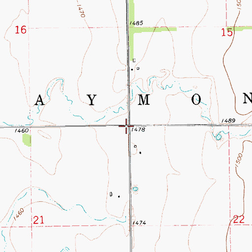 Topographic Map of Township of Raymond, SD