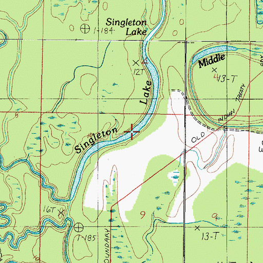 Topographic Map of Singleton Lake, AL
