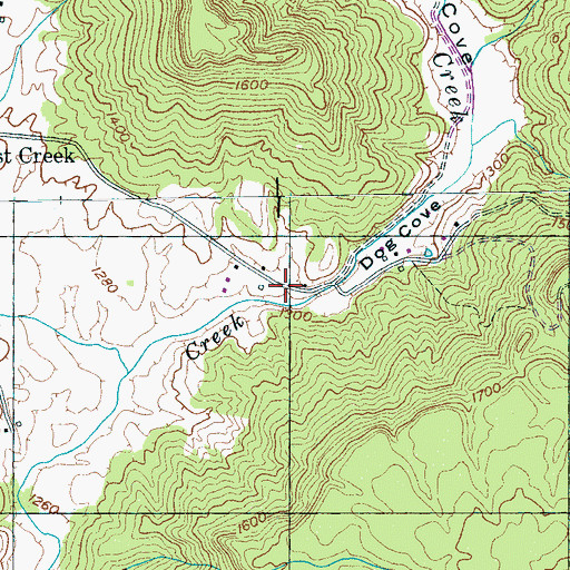 Topographic Map of Dog Cove, TN