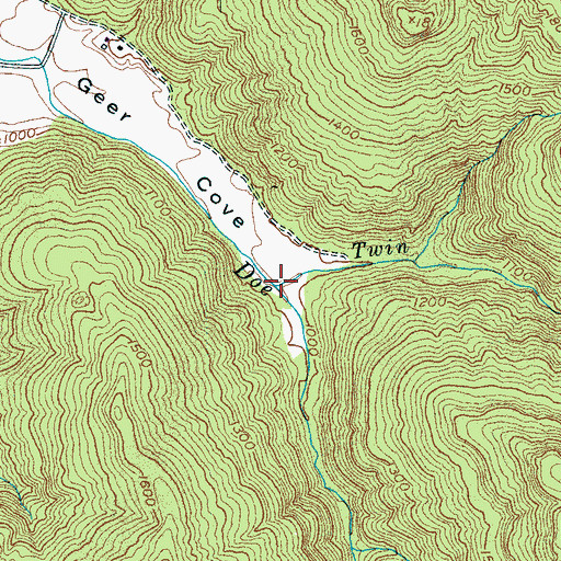 Topographic Map of Twin Branch, TN