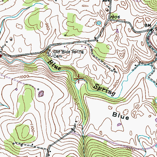 Topographic Map of Blue Spring Cove, TN