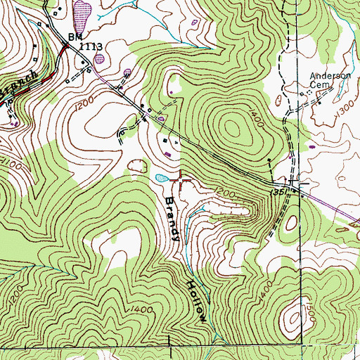 Topographic Map of Brandy Hollow, TN