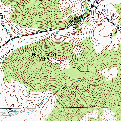 Topographic Map of Buzzard Mountain, TN