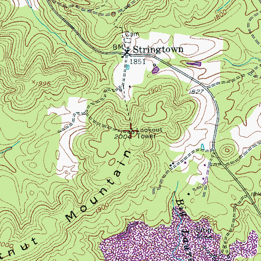 Topographic Map of Chestnut Mountain, TN