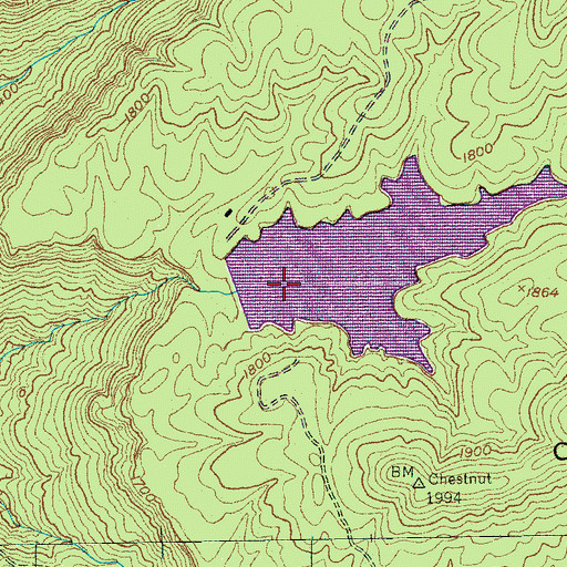 Topographic Map of Billy Branch Dam, TN