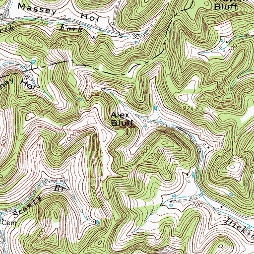 Topographic Map of Alex Bluff, TN