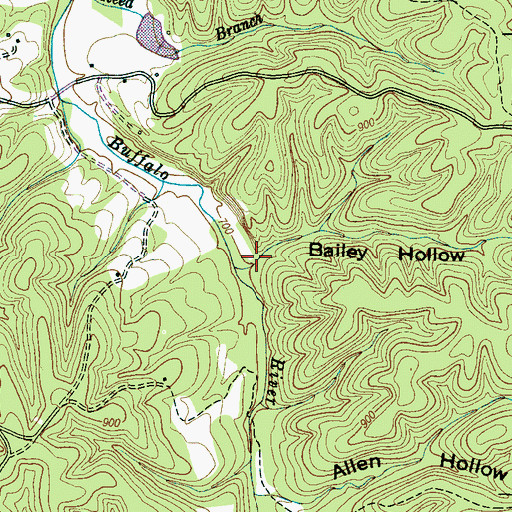 Topographic Map of Bailey Hollow, TN