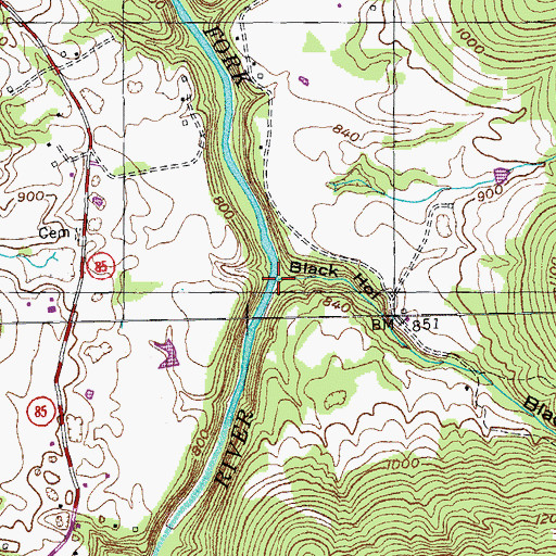 Topographic Map of Black Hollow, TN