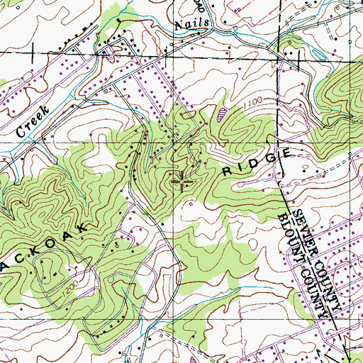 Topographic Map of Blackoak Ridge, TN