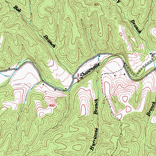 Topographic Map of Bob Branch, TN
