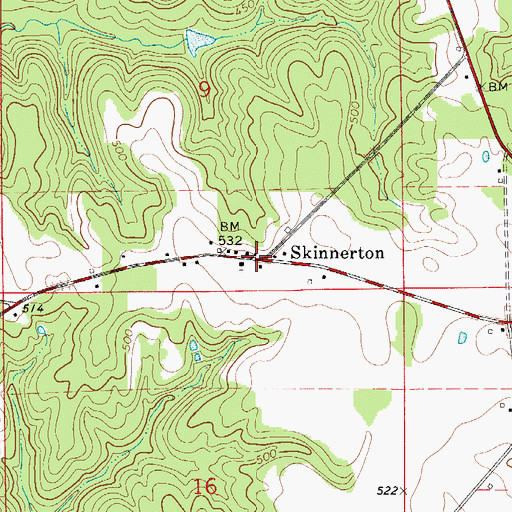 Topographic Map of Skinnerton, AL