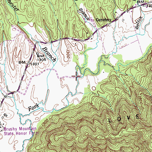 Topographic Map of Brasel Branch, TN