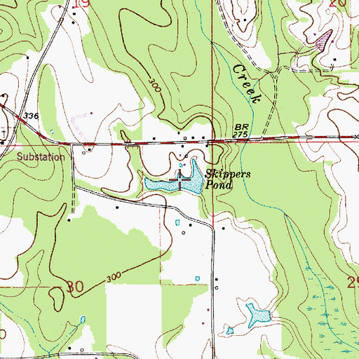 Topographic Map of Skippers Pond, AL