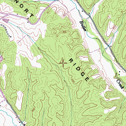 Topographic Map of Bucksnort Ridge, TN