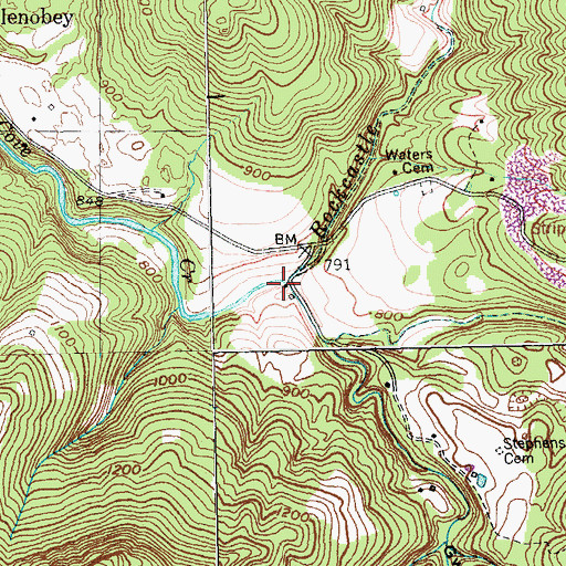 Topographic Map of Buffalo Cove, TN