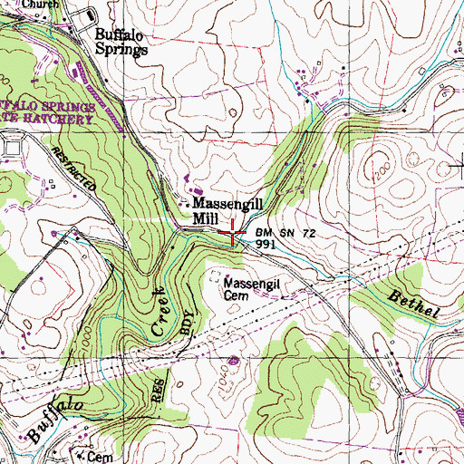 Topographic Map of Buffalo Hollow, TN