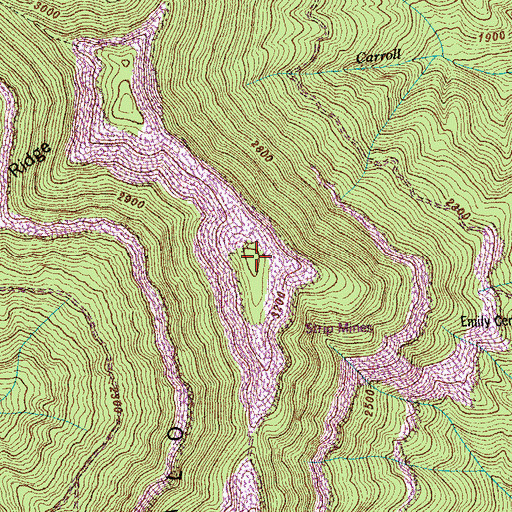 Topographic Map of Buffalo Mountain, TN
