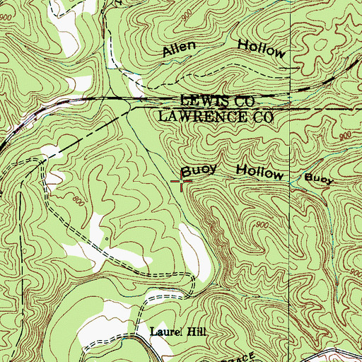 Topographic Map of Buoy Hollow, TN