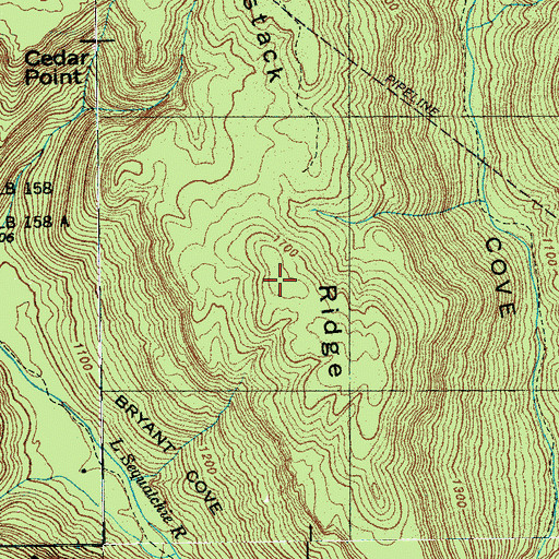 Topographic Map of Butterstack Ridge, TN