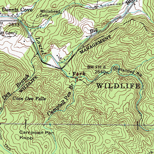 Topographic Map of Campbell Pen Branch, TN