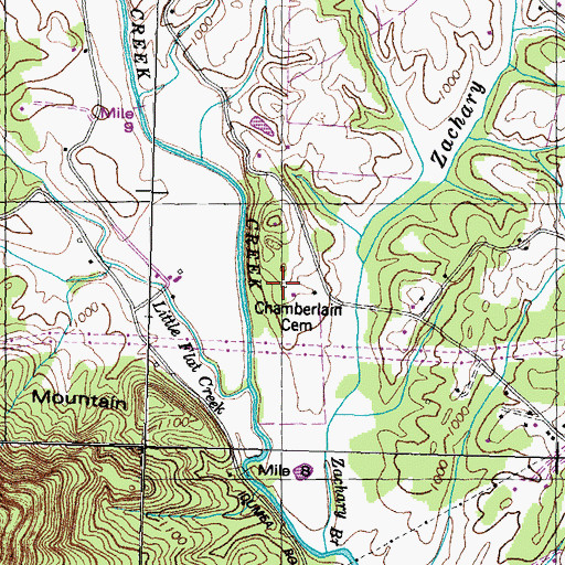 Topographic Map of Chamberlain Cemetery, TN