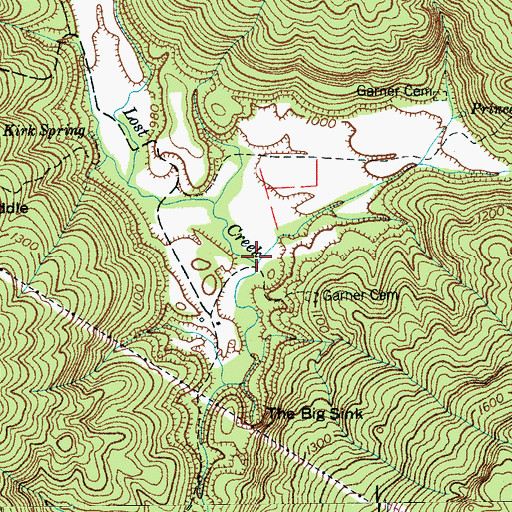 Topographic Map of Champion Cove, TN