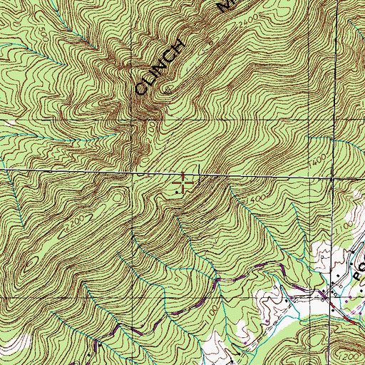 Topographic Map of Chestnut Flat, TN