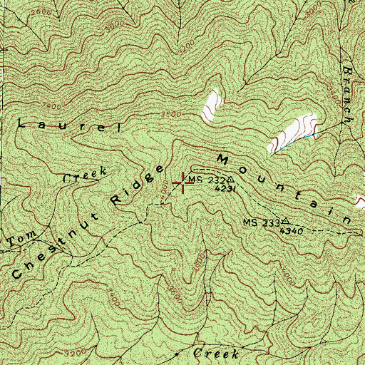 Topographic Map of Chestnut Ridge, TN