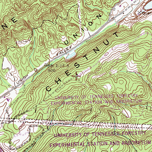 Topographic Map of Chestnut Ridge, TN