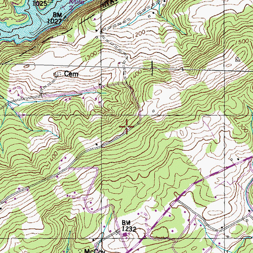 Topographic Map of Chestnut Ridge, TN