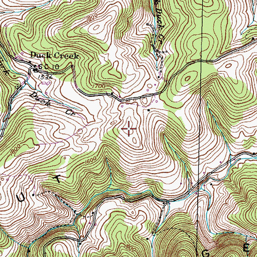 Topographic Map of Chestnut Ridge, TN