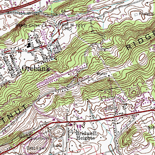 Topographic Map of Chestnut Ridge, TN