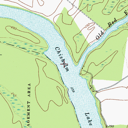 Topographic Map of Chisholm Lake, TN