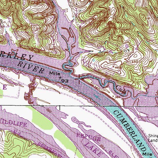 Topographic Map of Cub Creek, TN