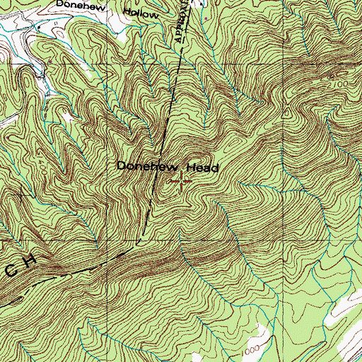 Topographic Map of Donehew Head, TN
