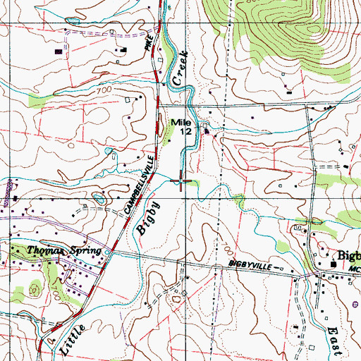 Topographic Map of East Fork Little Bigby Creek, TN